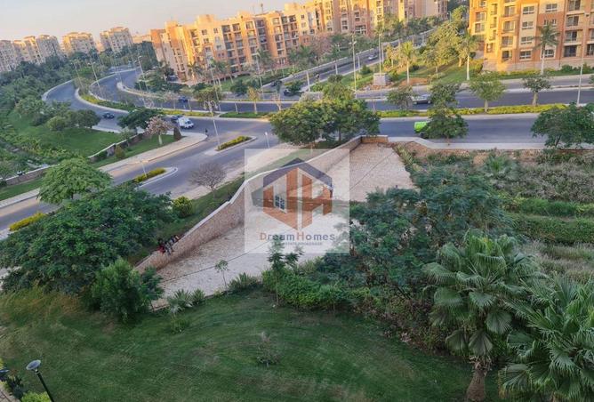 8406629 - Property Image 3