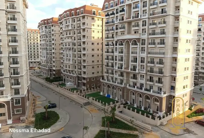 118798381 - Property Image 2
