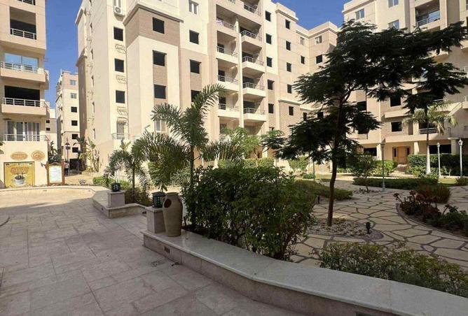 53726738 - صورة العقار 3