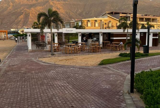 103481049 - صورة العقار 3