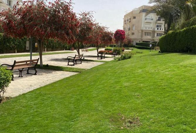 70367787 - صورة العقار 3