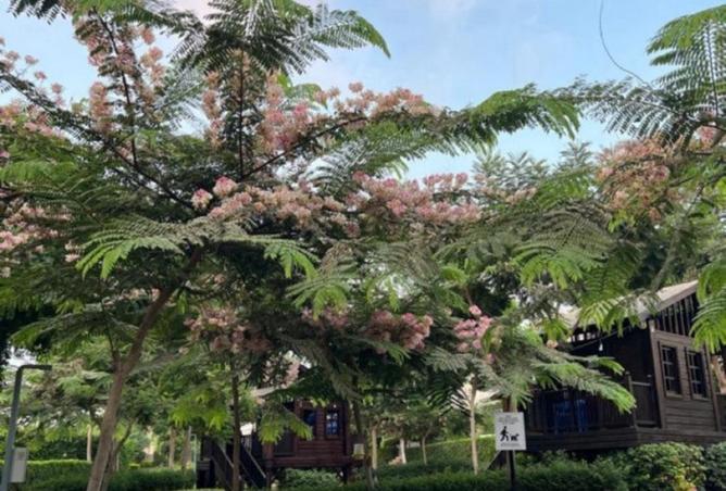 70367787 - الصورة الرئيسية للعقار