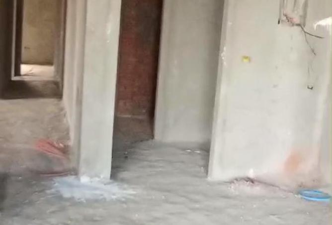 56003607 - Property Image 3