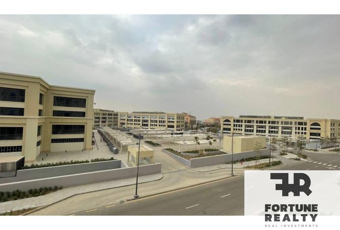 101492713 - Property Image 2