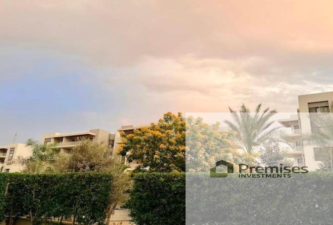 62649889 - صورة العقار 2