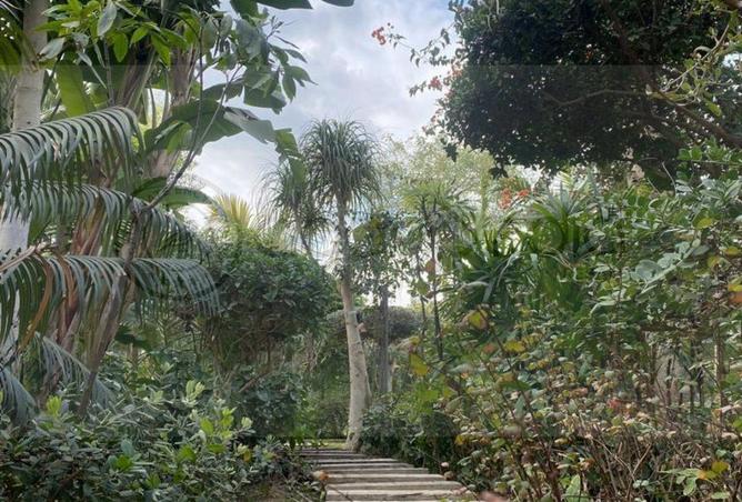 57996095 - صورة العقار 3