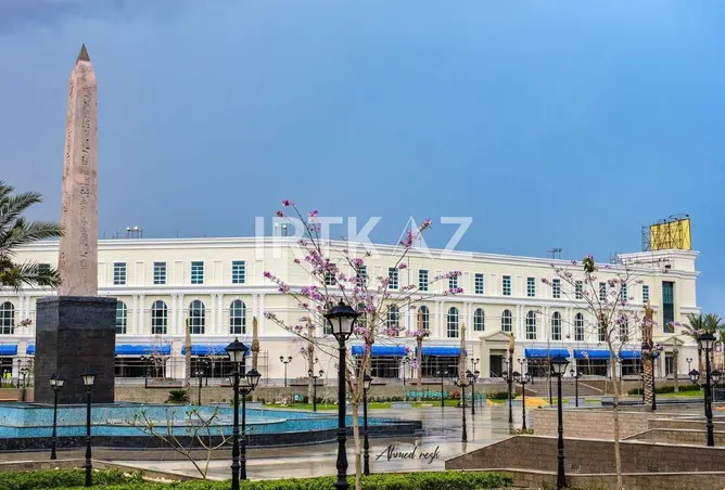 113817799 - صورة العقار 3