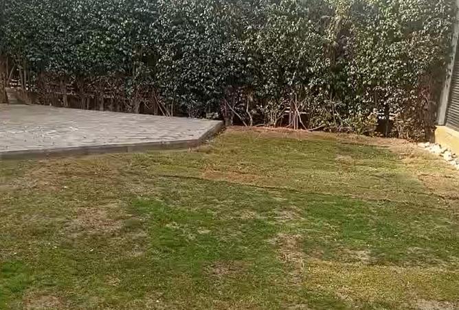 8551331 - صورة العقار 3