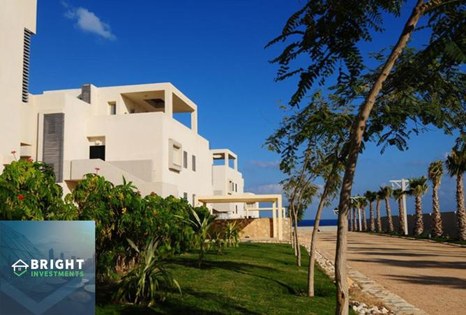 56248242 - صورة العقار 3