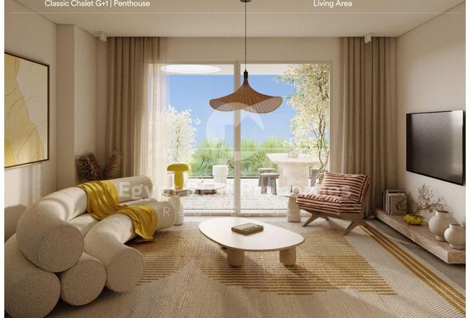 8469623 - Property Image 3