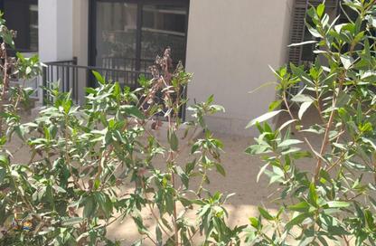 Apartment - 3 Bedrooms - 3 Bathrooms for rent in Moon Residences - Fifth Square - The 5th Settlement - New Cairo City - Cairo Apartment - 3 Bedrooms - 3 Bathrooms for rent in Moon Residences - Fifth Square - The 5th Settlement - New Cairo City - Cairo