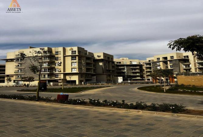 62649356 - Property Image 3