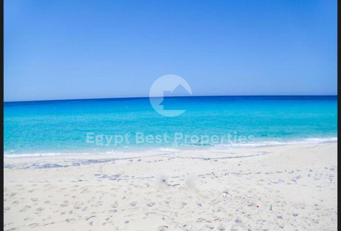 97149227 - Property Image 3