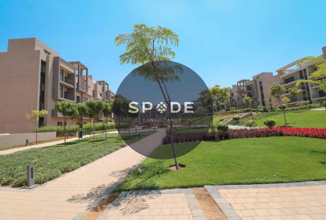 8653935 - Property Image 3