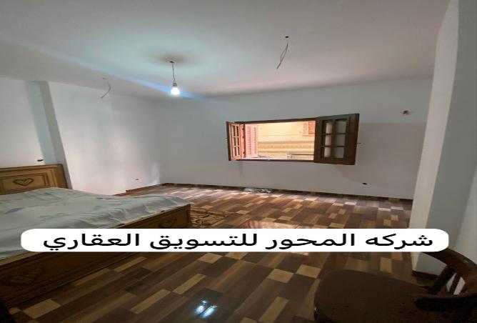 58745466 - Property Image 2