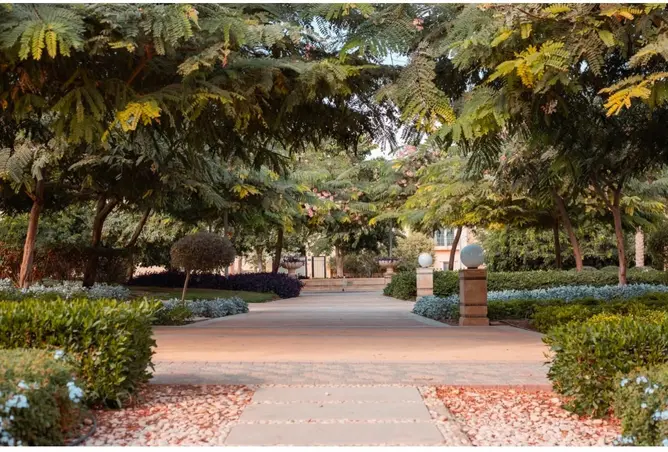 115719929 - صورة العقار 3