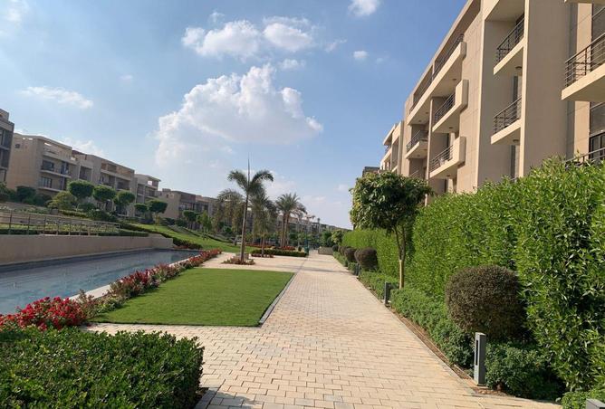 56994882 - Property Image 2