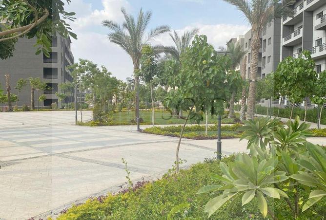 65909166 - صورة العقار 2