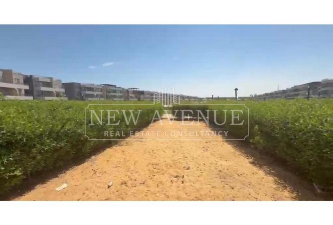 97423461 - Property Image 3