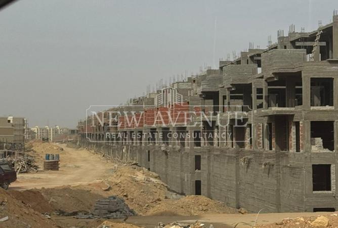 81565348 - Property Image 3