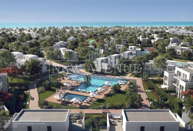 81300708 - Property Image 2