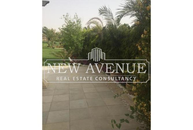 54238332 - Property Image 2