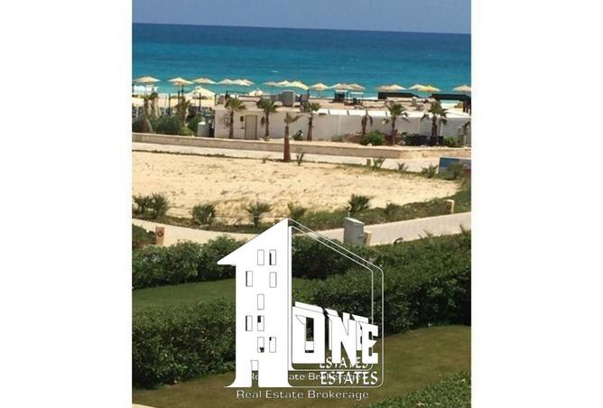 8682137 - صورة العقار 2