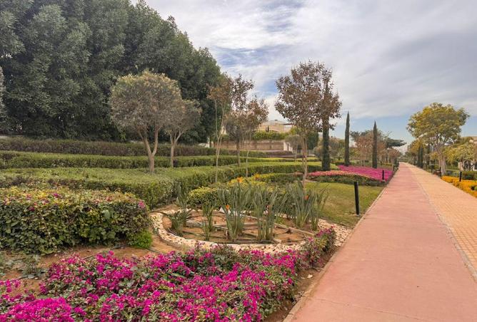 55006335 - صورة العقار 2