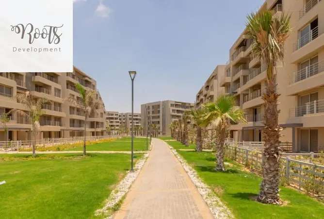 114355328 - Property Image 3