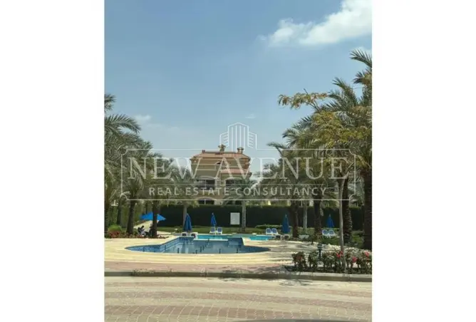 118803817 - Property Image 3