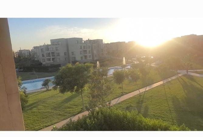 105172187 - صورة العقار 3