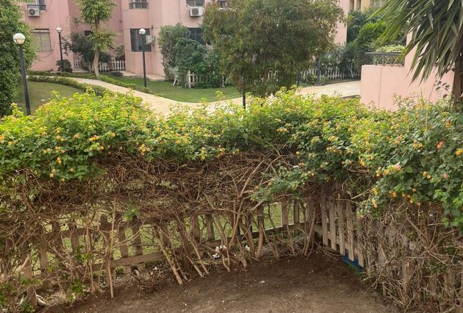 8510124 - Property Main Image