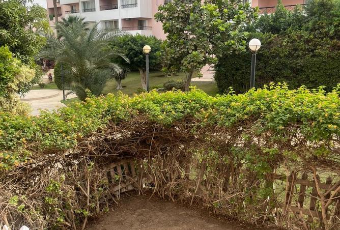 8510124 - Property Image 2