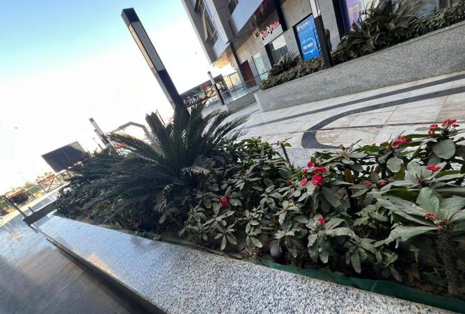 8654968 - صورة العقار 2