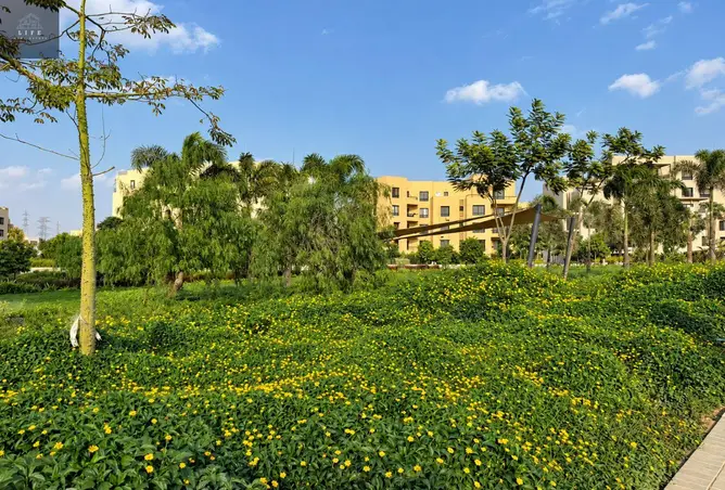119593734 - صورة العقار 2