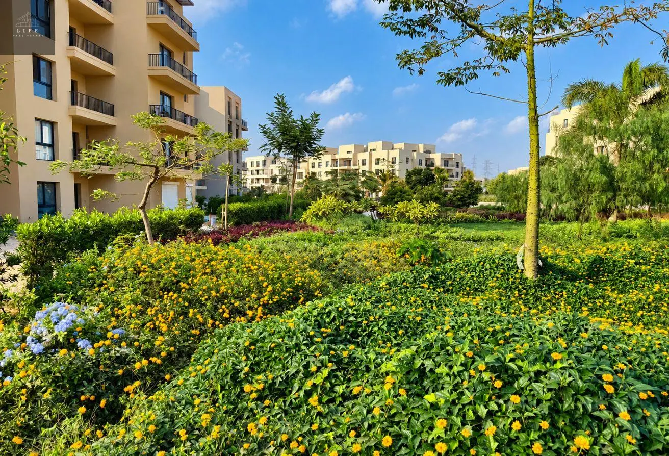 119593734 - الصورة الرئيسية للعقار