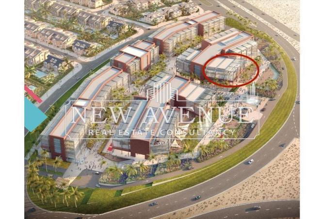 59234930 - Property Image 3