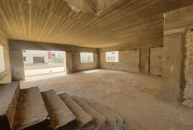 116486203 - Property Image 2
