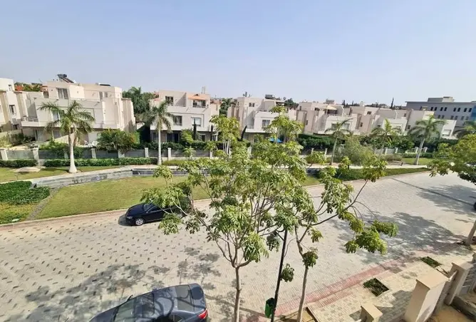 117787505 - Property Image 3