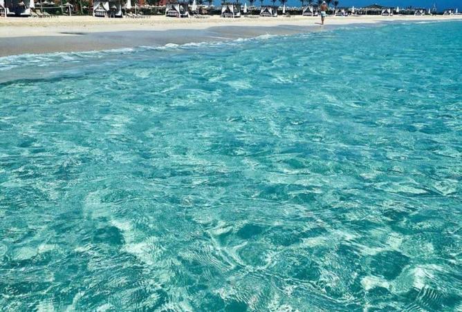 67215733 - صورة العقار 2