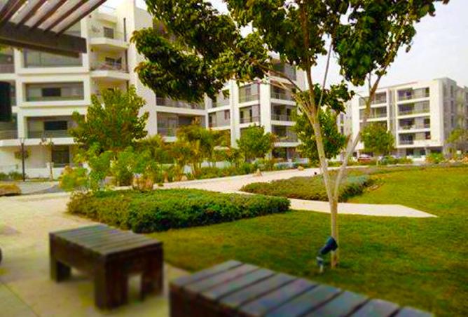 8512031 - Property Image 3