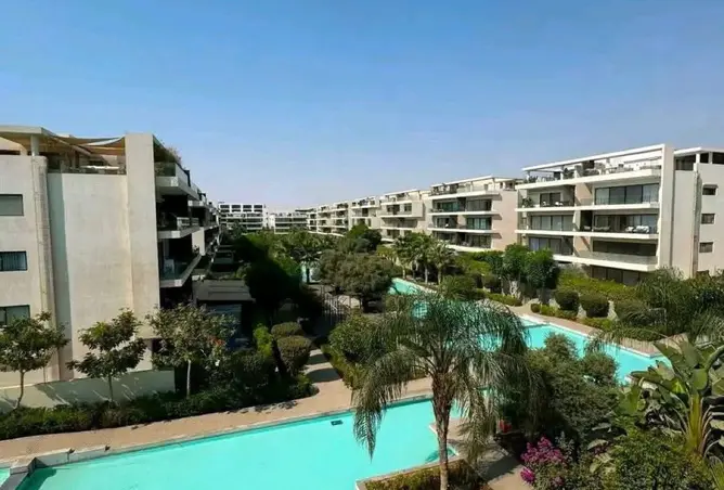 117017467 - Property Image 3