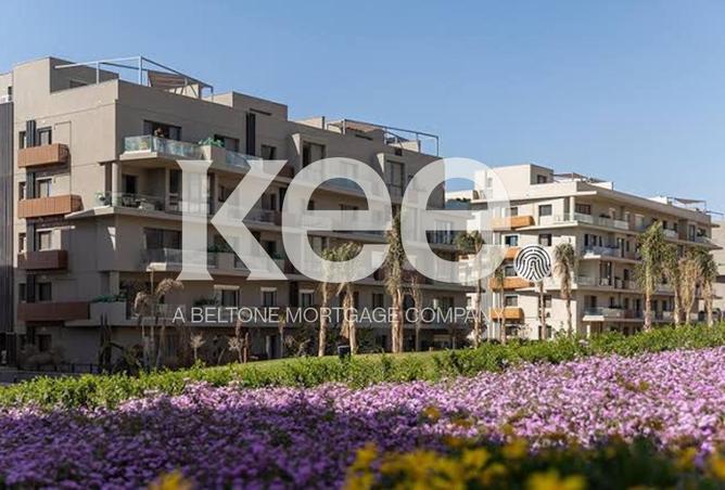 66960677 - Property Image 2