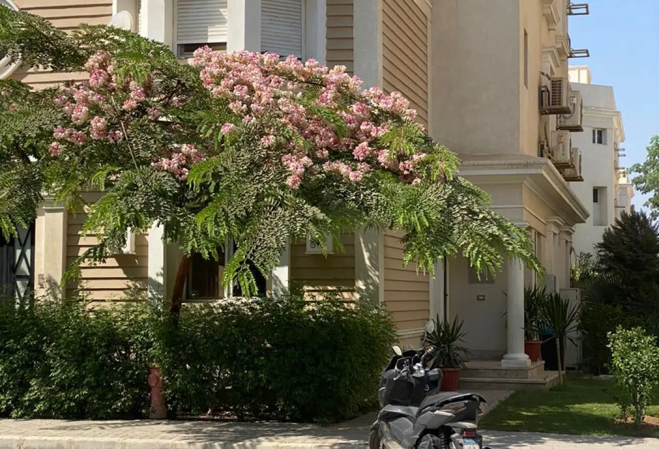 107971021 - Property Main Image