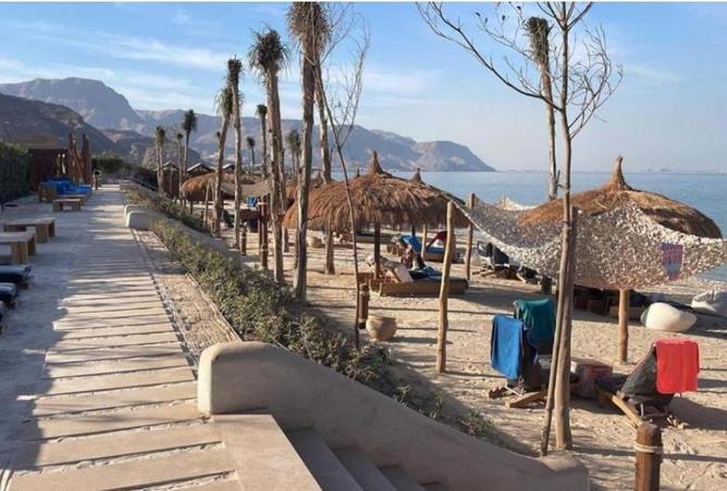 53221980 - صورة العقار 2