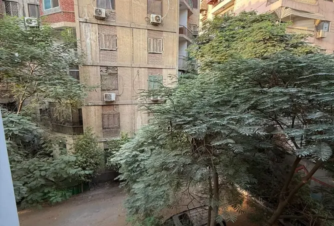 115180598 - صورة العقار 3