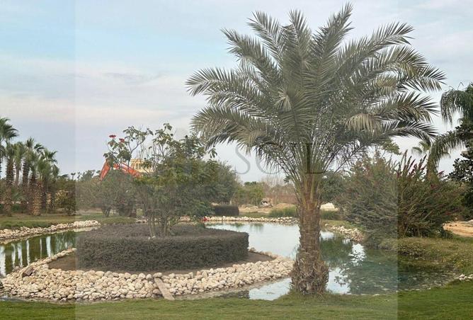 59487173 - Property Image 3