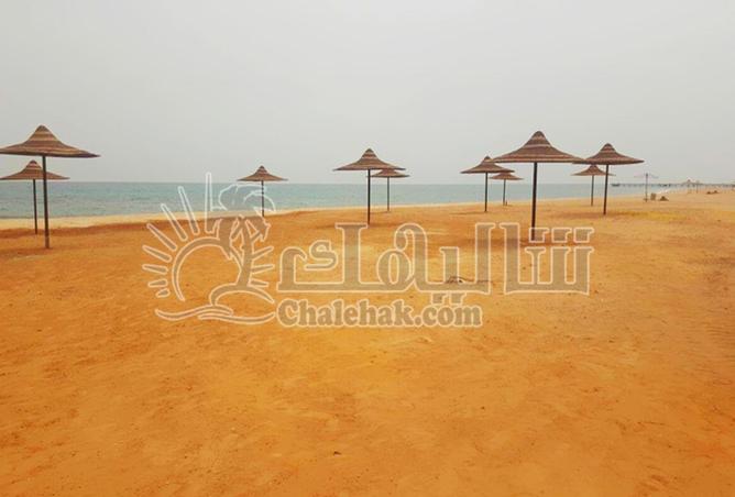 79456965 - صورة العقار 3