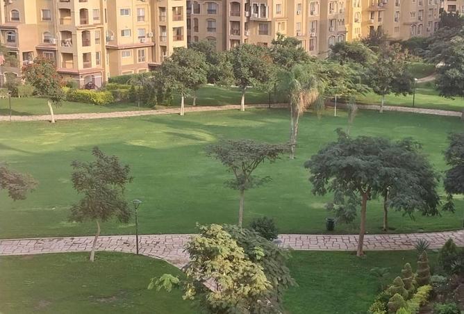 64138141 - Property Image 2