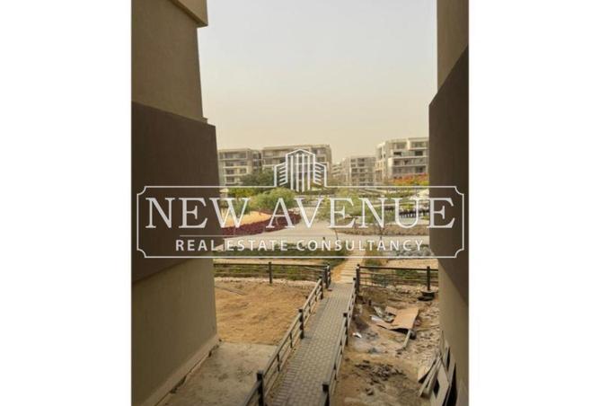 53978535 - Property Image 3